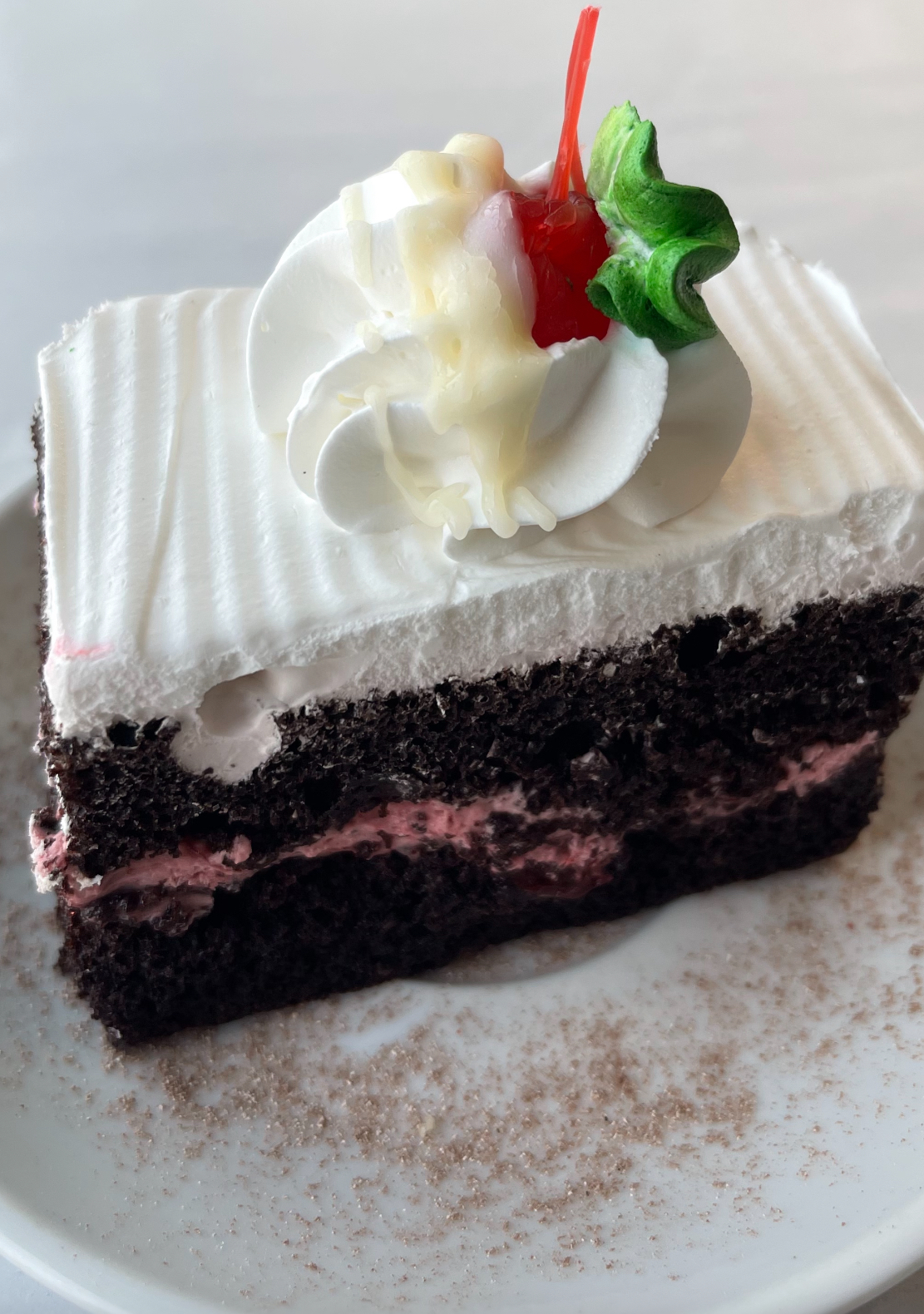 Piece of cherry chocolate cake